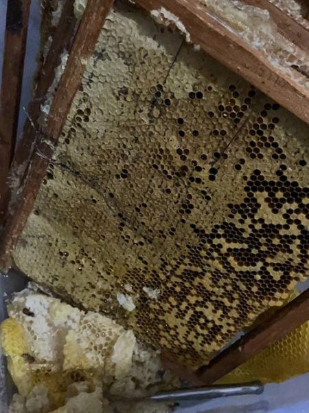 蜂蜜历史图片大全_蜂蜜最早出现在哪个朝代