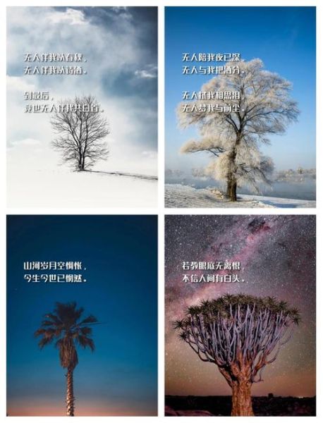 孤独感怎么缓解_艺术感文案如何写