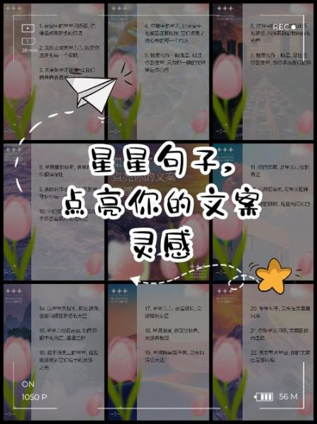 繁星文案生活怎么写_繁星文案生活有哪些灵感