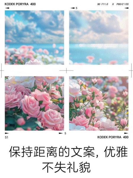 如何优雅地保持距离_不参与别人的生活文案怎么写