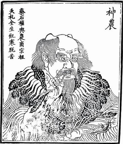 神农历史大全_神农氏是谁