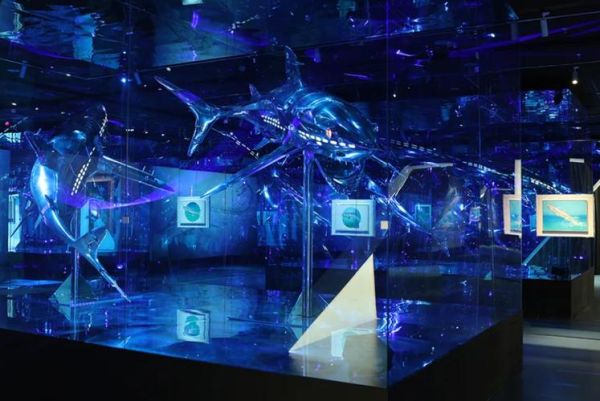 新媒体艺术策划怎么做_新媒体艺术展览如何落地