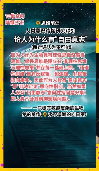 历史哲学难题大全_人类自由意志是否存在