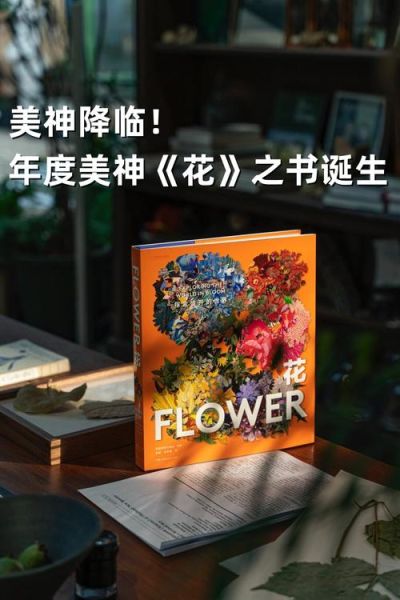 艺术之书是什么_艺术之书值得买吗