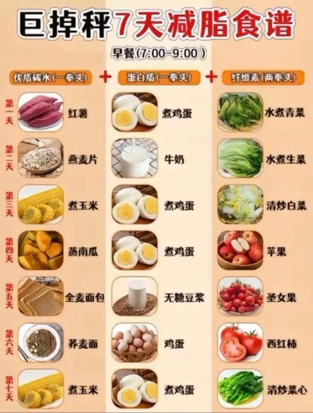 怎样健康减肥不反弹_减肥期间吃什么掉秤快