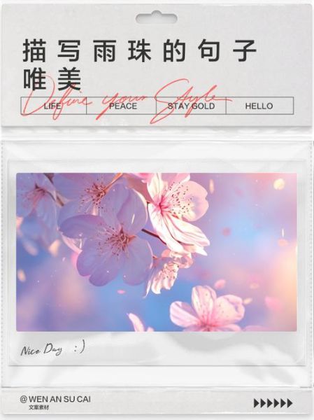 雨珠艺术感文案怎么写_雨珠意境句子有哪些