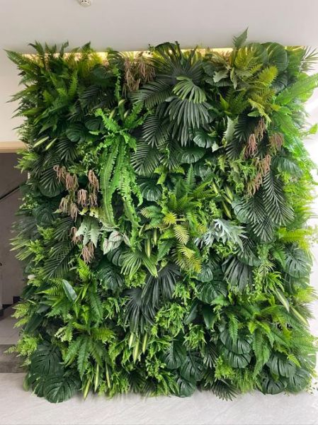 植被艺术是什么_如何打造植物墙