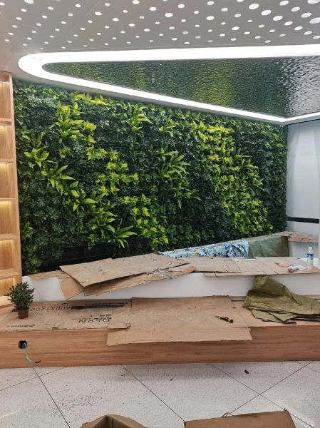 植被艺术是什么_如何打造植物墙