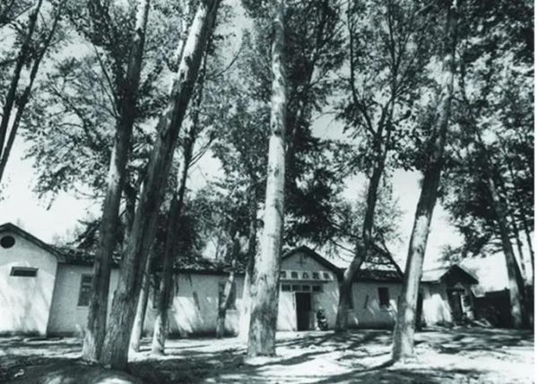 格尔木历史图片大全_老照片里有哪些故事