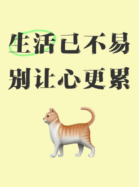 累了怎么办_生活如何不累