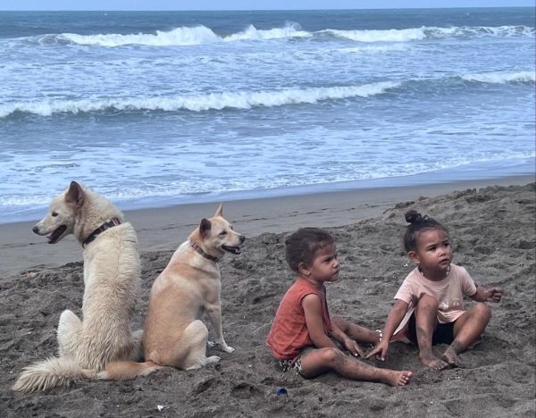 慢节奏海边生活_如何真正慢下来