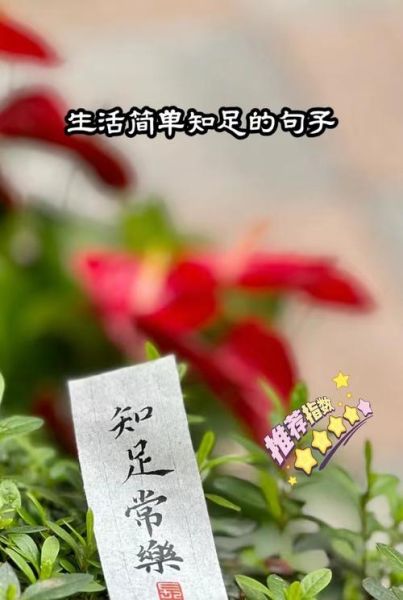 简单生活怎么过_简单生活的意义是什么