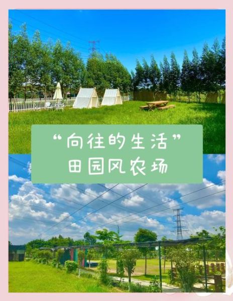 快乐的农家生活有哪些体验_如何规划一次乡村慢游