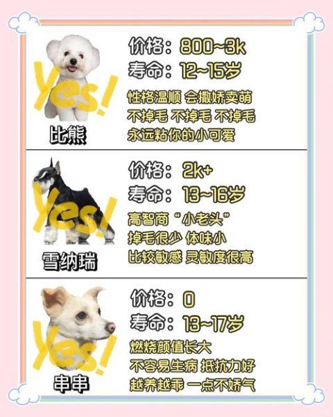 上班族怎么养狗_新手养狗一天遛几次