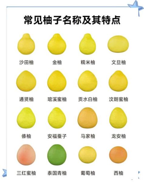 柚子历史图片大全_柚子起源演变