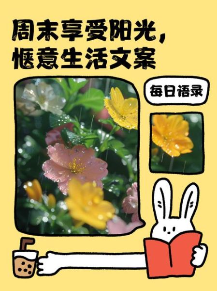 周末怎么过才有趣_生活有趣状态文案怎么写