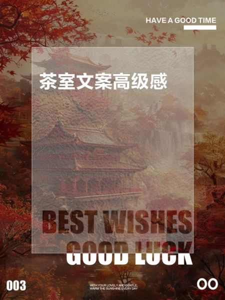 茶室生活怎么拍_茶室生活视频文案怎么写