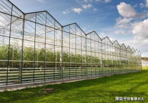 花博会科技产品有哪些_花博会智能温室如何运作