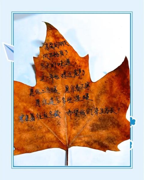 叶子艺术怎么做_叶子艺术适合什么场景