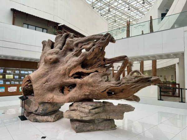 树根艺术是什么_树根艺术怎么做