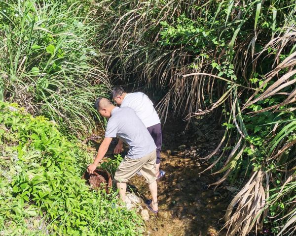 突然想回农村生活怎么办_农村生活真实体验