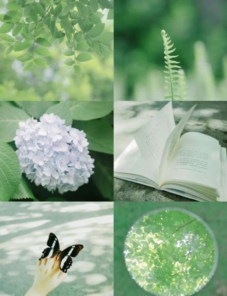 如何用手机拍出胶片感_胶片滤镜怎么调才自然