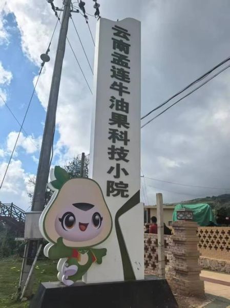 云南有哪些科技产品出名_云南科技产品有哪些特色