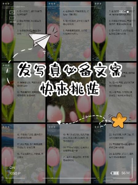 如何挑选艺术素材_文案配图怎么选