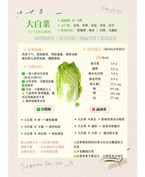 白菜艺术文案怎么写_白菜艺术文案写作技巧