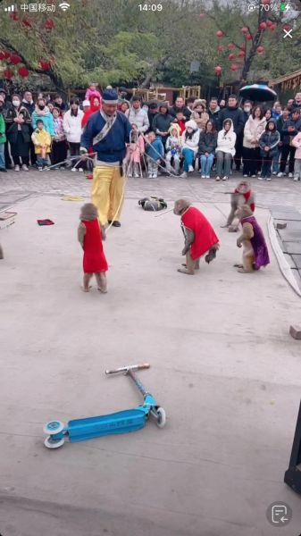 民间耍猴艺术怎么传承_耍猴人现在靠什么生活