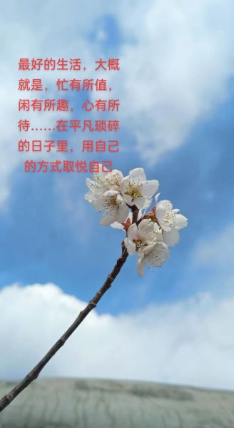 如何平淡看待生活_平淡生活有什么好处