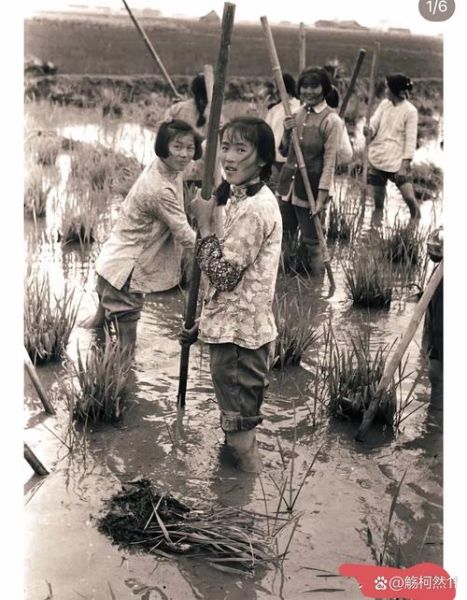 黑历史照片大全_如何找到老照片