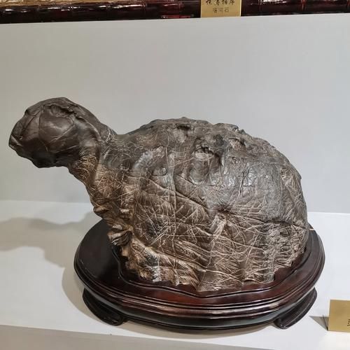 石刻艺术有哪些价值_如何欣赏石刻艺术