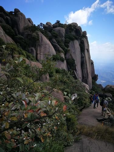 上海嘟淼网络科技怎么样_嘟淼科技产品有哪些