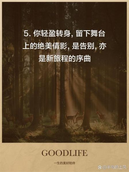 艺术生涯结束文案怎么写_如何优雅告别舞台