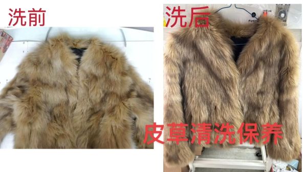 皮草艺术如何保养_皮草艺术价格贵吗