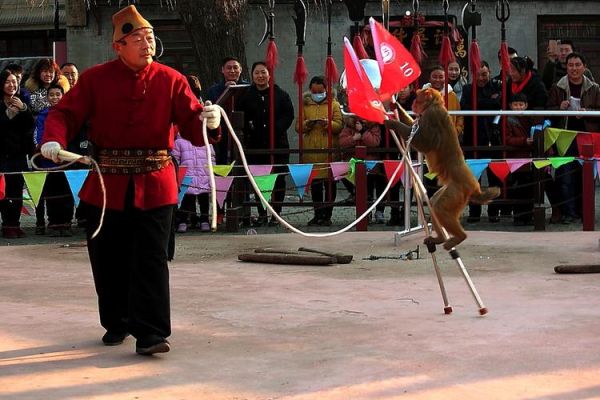 耍猴艺术是什么_耍猴艺术起源