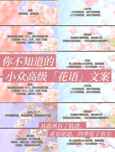 花语怎么写_鲜花文案生活灵感