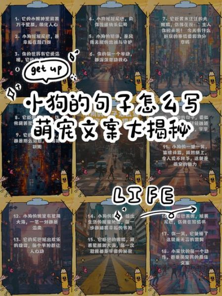 小狗的艺术文案怎么写_如何让宠物品牌文案更动人