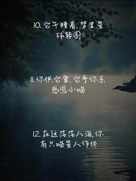 可爱艺术文案怎么写_可爱文案写作技巧