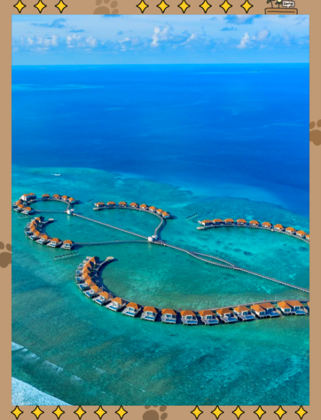 艺术浪漫岛屿有哪些_如何策划浪漫之旅