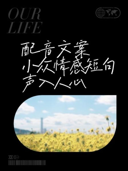 配音文案艺术_如何写出打动人心的旁白