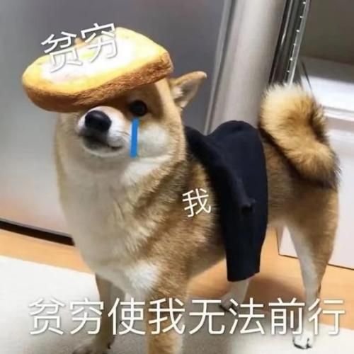 怎么开口要生活费_如何优雅向父母要钱