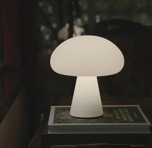 硅胶灯艺术是什么_硅胶灯怎么选