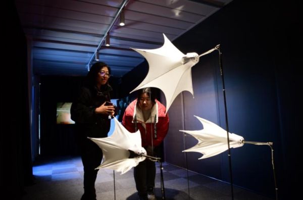 艺术科技产品有哪些_如何选购艺术科技产品