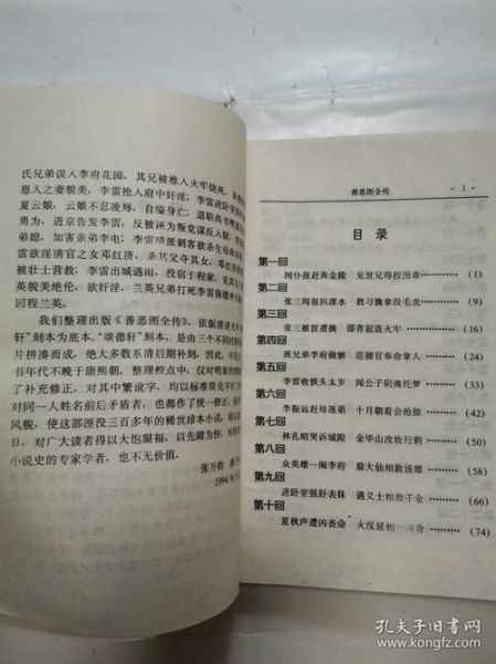 小说免费大全历史_哪些网站能看正版