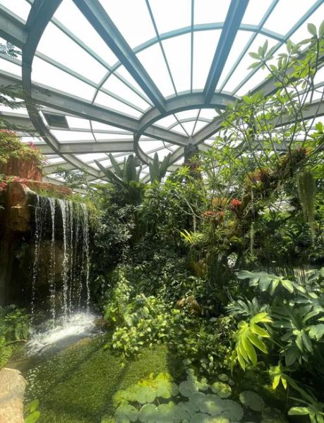 植物园怎么玩_植物园有哪些植物