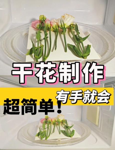 干花怎么保存不褪色_干花艺术装饰技巧