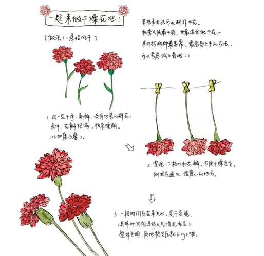 干花怎么保存不褪色_干花艺术装饰技巧