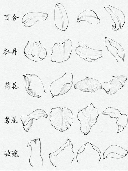 零基础怎么学画画_画画入门需要准备什么